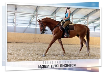 Бизнес-идея конно-спортивный клуб