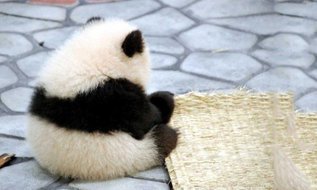 13 вещей, о которых нужно помнить, когда жизнь бьет вас по голове